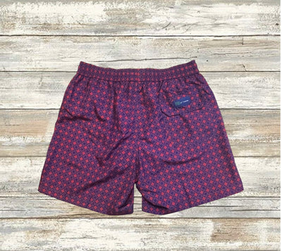 Damier Violet