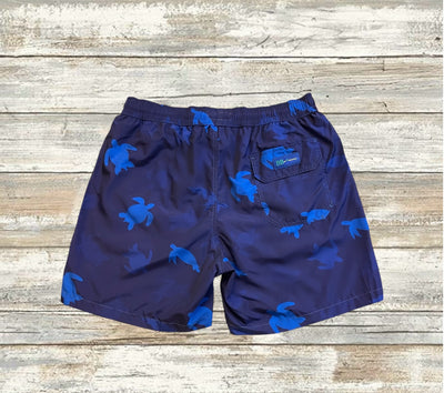 Tortues Bleu